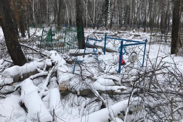 19-летний житель Житомирской области разгромил могилы: искал сладости
