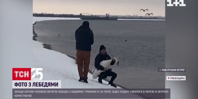 В Хмельницкой области мужчины держали лебедя за шею ради селфи (ФОТО, ВИДЕО)