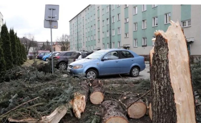 В Венгрии мощный ураган срывал крыши домов (ФОТО)