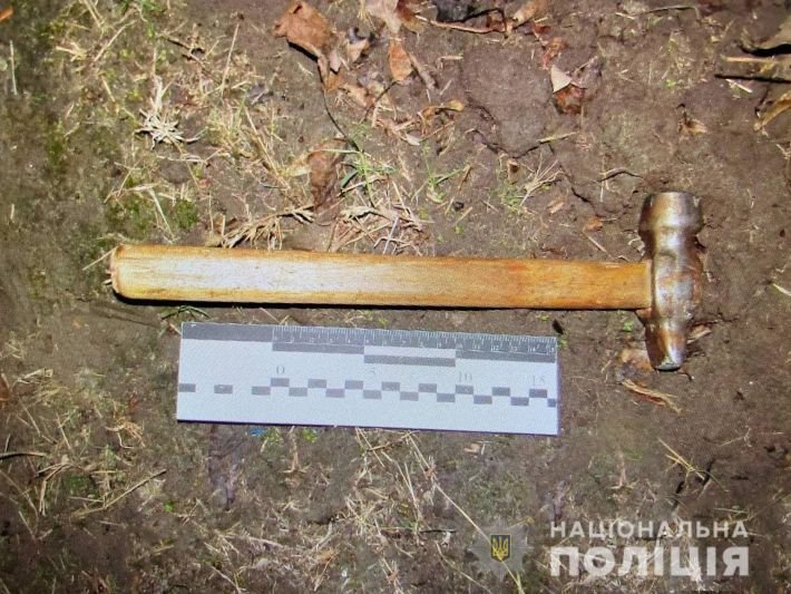В Запорожской области уголовник молотком разбил 6 авто (ФОТО)