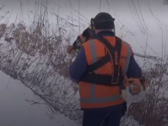 Железнодорожников заставили косить кустарники по колено в снегу (ФОТО)