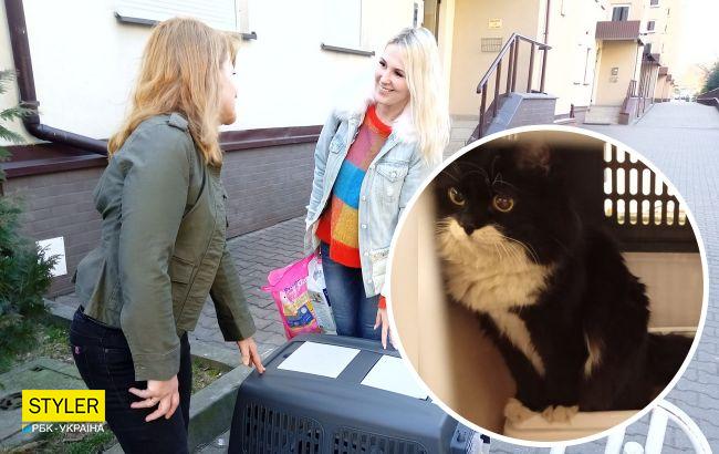 Польские волонтеры нашли жительнице Харькова сбежавшую домашнюю кошку (ФОТО)