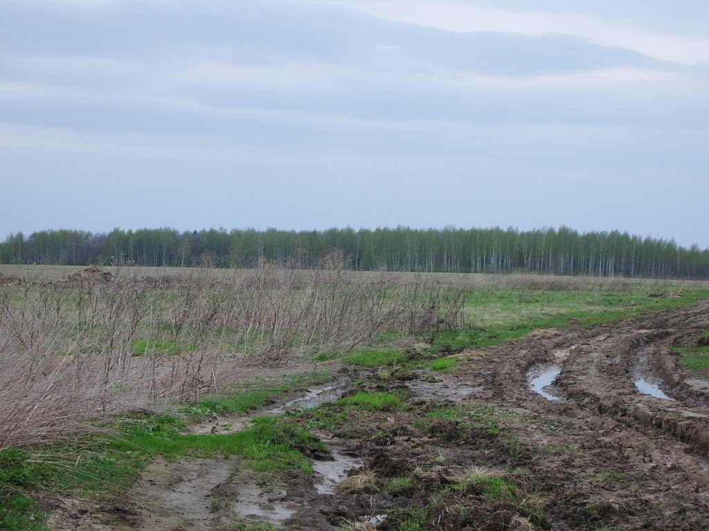 В Киевской области тракторист подорвался на противотанковой мине