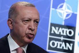 В Германии предложили &#171;рискнуть конфликтом&#187; с Эрдоганом из-за НАТО