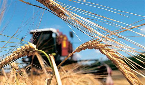 США готовы поддержать экспорт зерна и удобрений из России