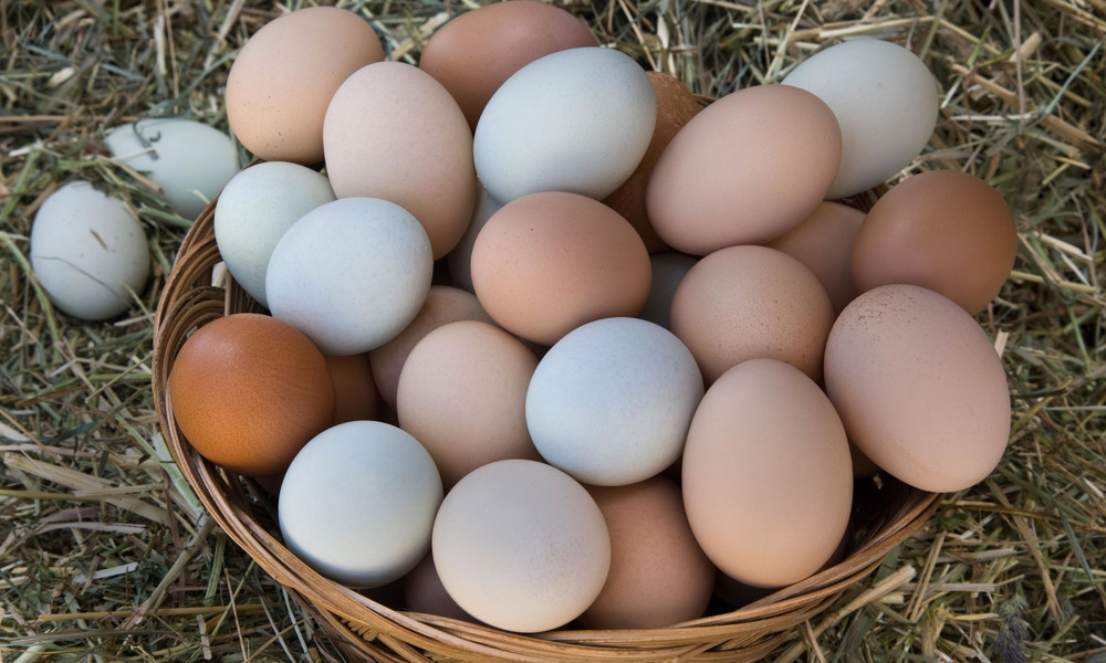 Оптовые цены на куриные яйца в Украине снизились на 10% &#8212; Минагрополитики