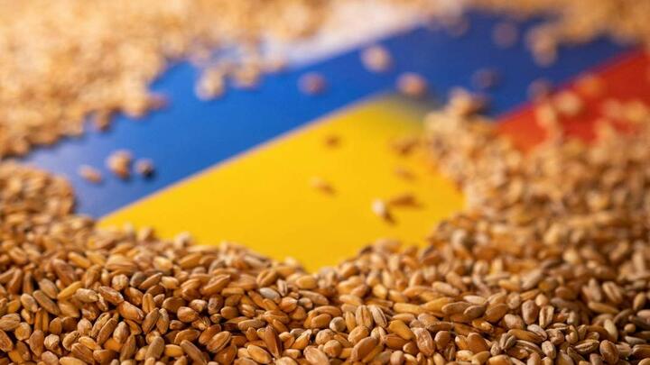 Импорт украинского зерна в Польшу приостановили как минимум на несколько месяцев