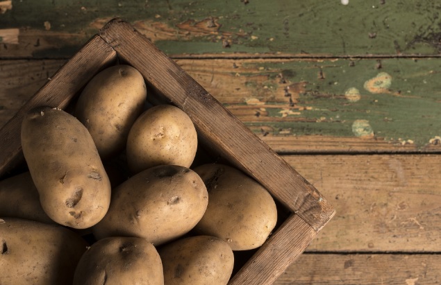 Надежные способы сохранить в квартире картофель свежим зимой