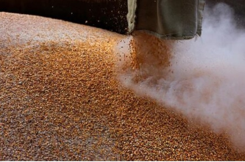 В феврале 2023 года Украина экспортировала самый большой объем зерна