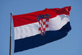 На гуманитарное разминирование в Украине Хорватия выделила 1 млн евро