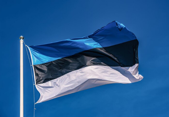 Эстония не будет высылать украинских мужчин призывного возраста &#8212; премьер-министр Каллас
