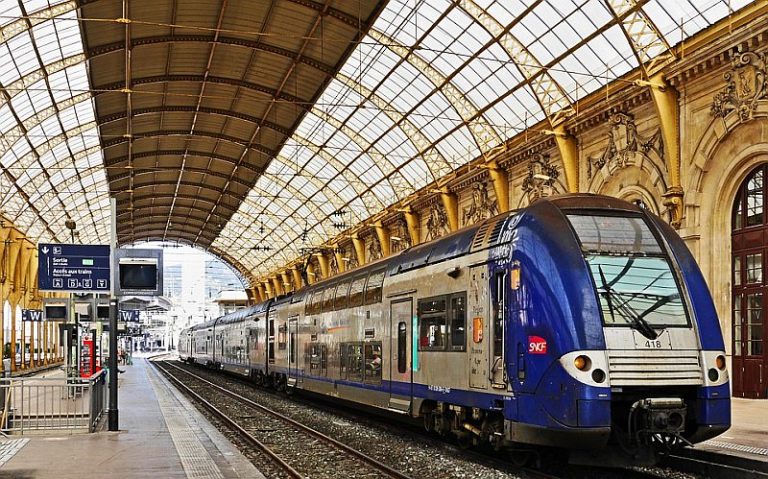Во Франции котенок погиб под поездом: семья может взыскать 75 тысяч евро с железнодорожников