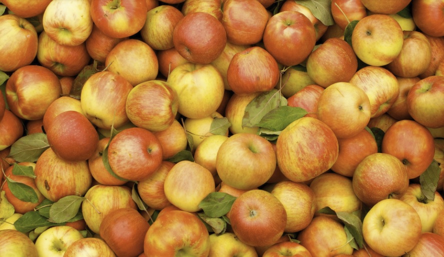 За месяц в Украине яблоки подорожали на 37%