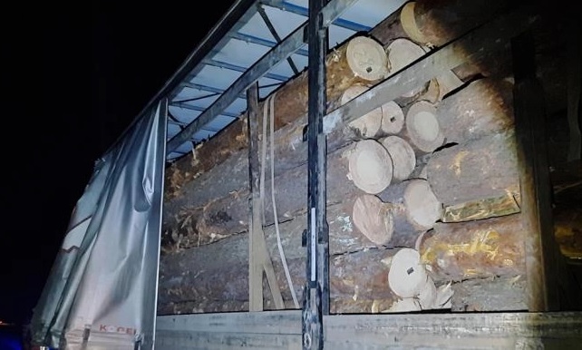 В Житомирской области задержали грузовик из Ровенской области с нелегальным лесом