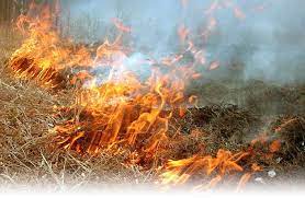 В Николаевской области по неизвестным причинам горели поля с пшеницей и ячменем