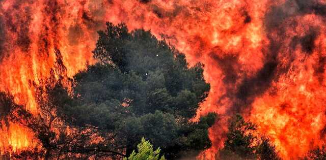 Не менее 5 погибших: в Чили за сутки возникло более 150 лесных пожаров, горят тысячи гектаров