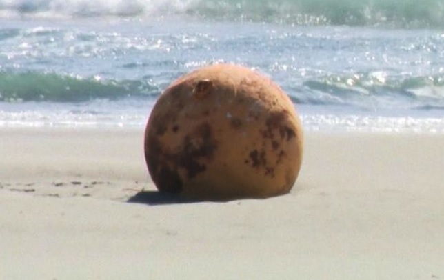 Загадочный металлический шар вынесло на пляж в Японии