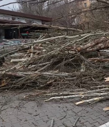 Два человека госпитализированы: сильным ветром свалило деревья, повредило крыши домов в Харьковской области