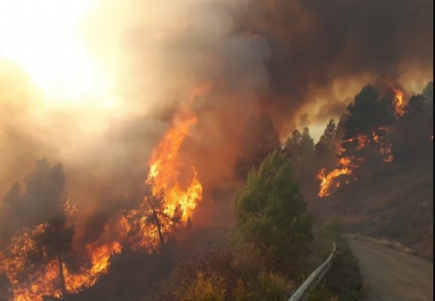 Восточную часть Испании охватил лесной пожар: эвакуированы сотни людей