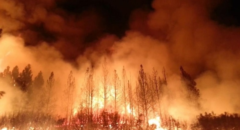 На испанском Тенерифе вспыхнул лесной пожар, пришлось эвакуировать несколько сел