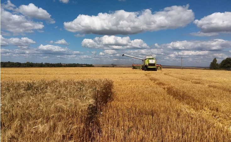 Агропроизводство Украины в этом году сократится еще на 10%: прогноз министерства