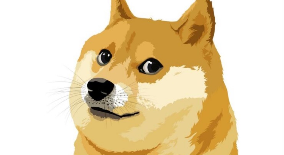 Twitter получил новый логотип: коричневую собаку