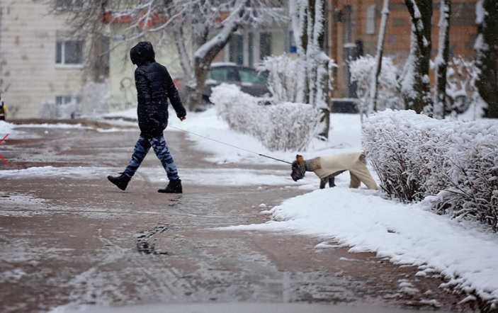 В первые дни декабря на западе и юге Украины будут снег и морозы &#8212; синоптик