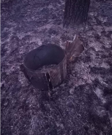 РФ атаковала дронами Киевскую область: загорелась трава