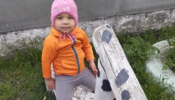 Под Харьковом потерялась двухлетняя девочка: ребенка вторые сутки ищут спасатели