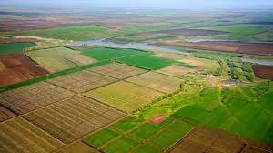 Украинские аграрии просят отсрочить запуск 2-го этапа земельной реформы: у бизнеса нет денег