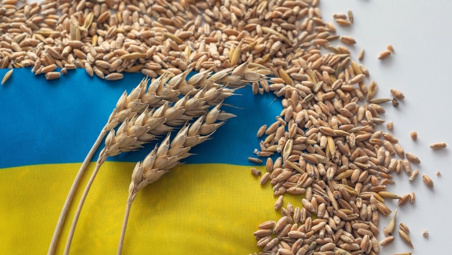 Еврокомиссия не будет признавать односторонние запреты стран ЕС на экспорт украинского зерна
