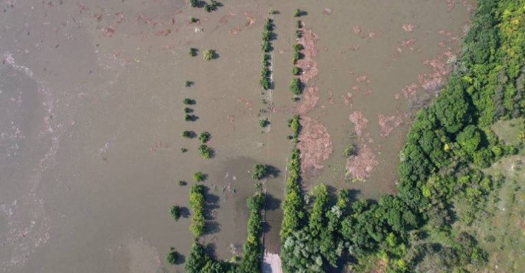 В Херсонской области в воде обнаружили холерную и кишечную палочки
