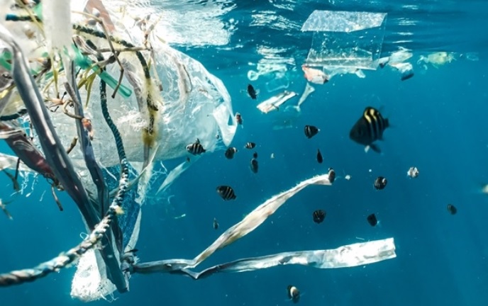В ООН заявляют о критическом загрязнении водоемов пластиком