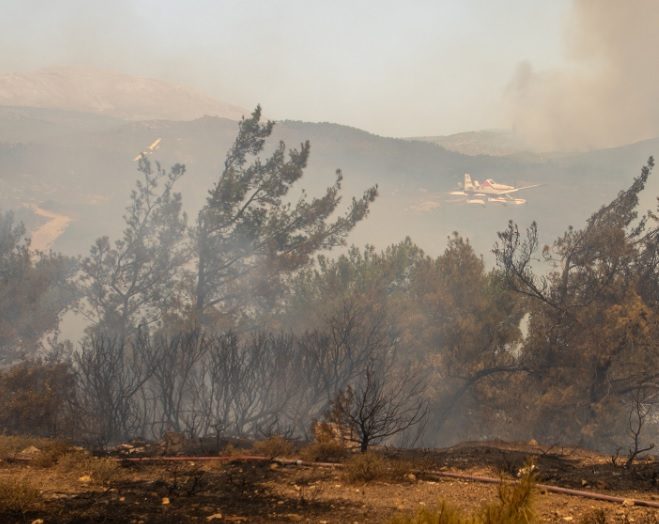 Лесные пожары охватили пять регионов Греции: что там происходит