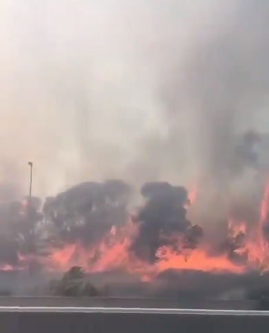 Во Франции в окрестностях Ниццы начались лесные пожары: на трассе А8 нарушено движение транспорта &#8212; соцсети