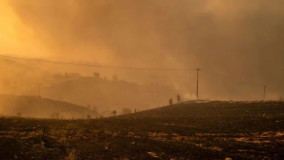Спасатели не могут сдержать масштабные пожары в Греции на границе с Турцией