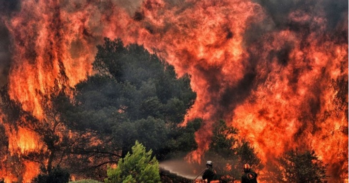 В Греции за сутки произошло более 70 лесных пожаров, есть пострадавшие