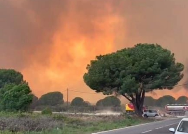 Пожар на испанском острове Тенерифе за сутки расширился почти вдвое