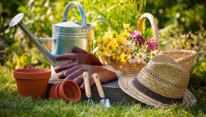 5 важных садовых дел, которые обязательны летом