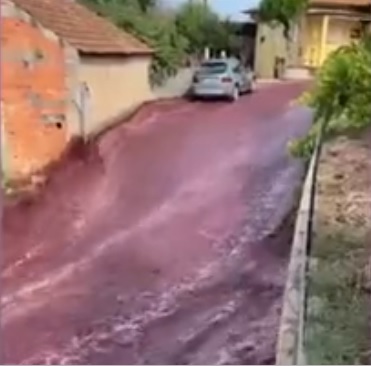 Взорвались цистерны на винокурне: улицы португальского города затопило вином