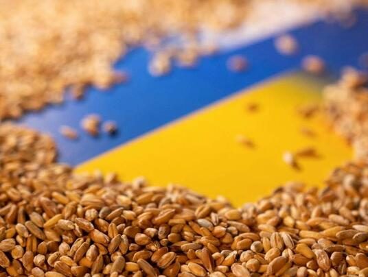 В сентябре Украина и страны ЕС соберутся на встречу по &#171;зерновому&#187; вопросу