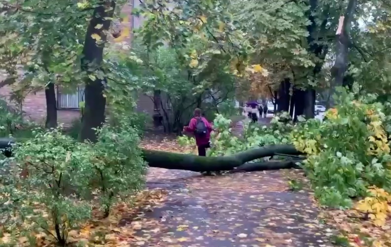 В Киеве бушует ураган, есть погибшие и пострадавшие: ветром сносит крыши, деревья вырывает с корнем &#8212; соцсети