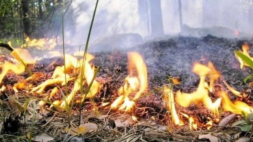 Украинцам грозят тюрьма и штрафы за сжигание сухих травы, листьев и мусора: от 1000 до 150000 тысяч гривен