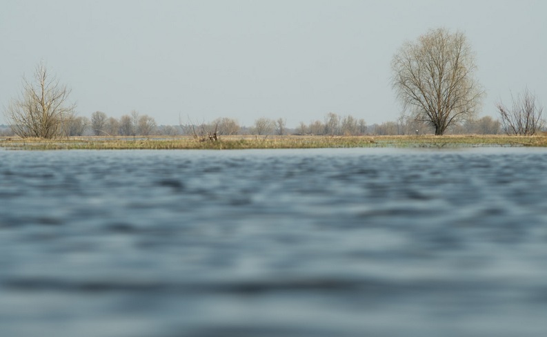 В Германии затопило несколько земель: в реках продолжает повышаться уровень воды