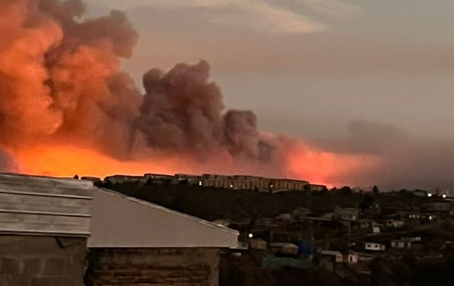 Погибло не менее 51 человека: в Чили бушуют лесные пожары