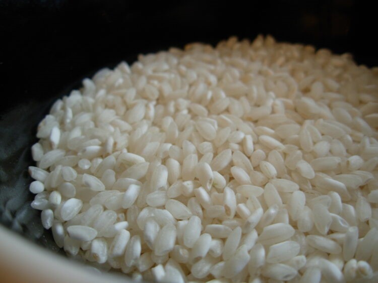 В ЕС запретили пестицид и посевы риса в Испании гибнут от грибка: фермеры бьют тревогу