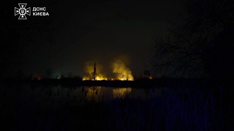 В Киеве произошел пожар к экопарке &#171;Осокорки&#187;: пламя бушевало на территории 3 гектара