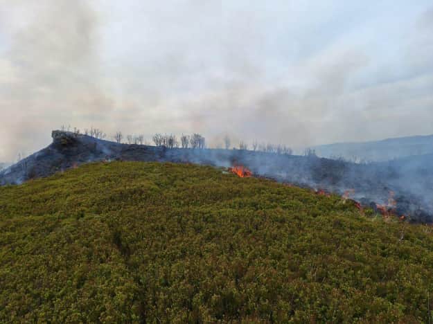 В польских Карпатах произошел пожар в национальном парке