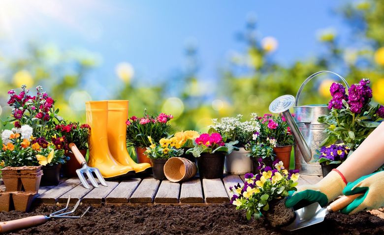 Пора садить декоративные растения и полоть грядки: составлен лунный календарь на период 20-26 мая для любителей сада-огорода