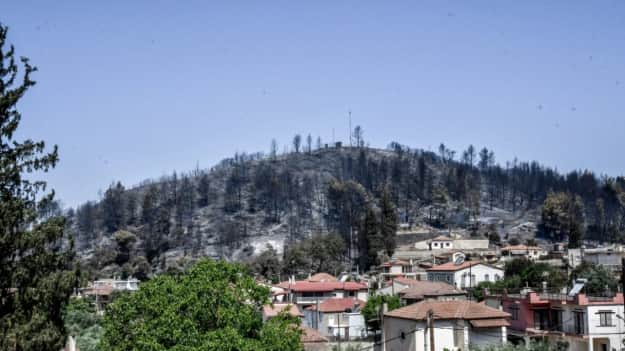 На юго-западе Греции огонь уничтожил более 12 тысяч гектаров леса